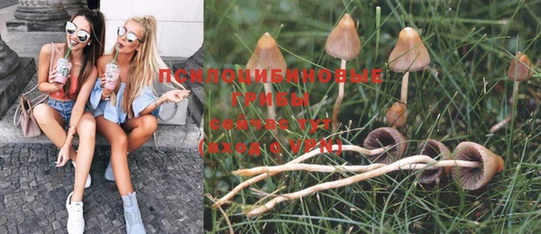 метадон Нея