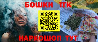 стафф Гатчина