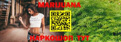 индика Абакан