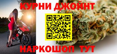 стафф Гатчина
