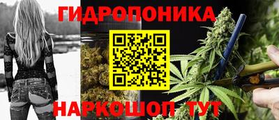 стафф Гагарин
