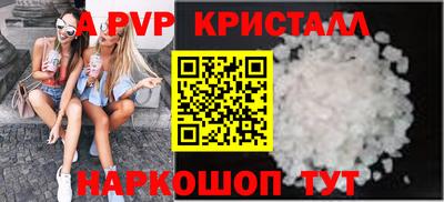 стафф Гатчина