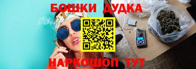 стафф Гатчина