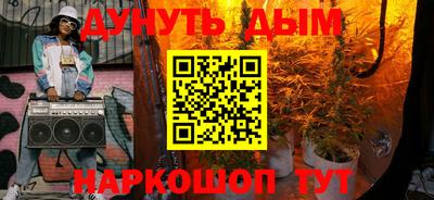 стафф Гатчина