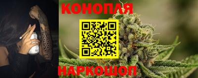стафф Гатчина