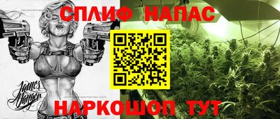 стафф Гагарин