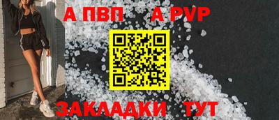 стафф Гатчина