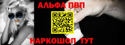 стафф Гатчина