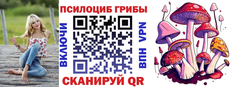 Галлюциногенные грибы Psilocybine cubensis Зеленокумск