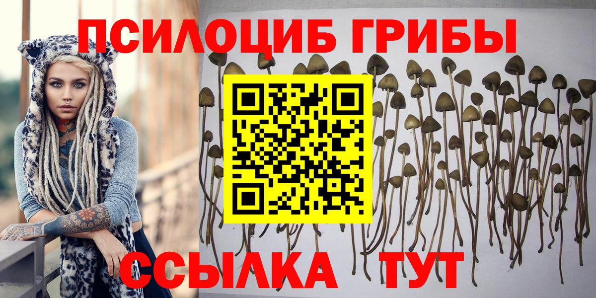 Галлюциногенные грибы MAGIC MUSHROOMS  Галлюциногенные грибы прущие грибы  Вход с VPN  Зеленокумск 